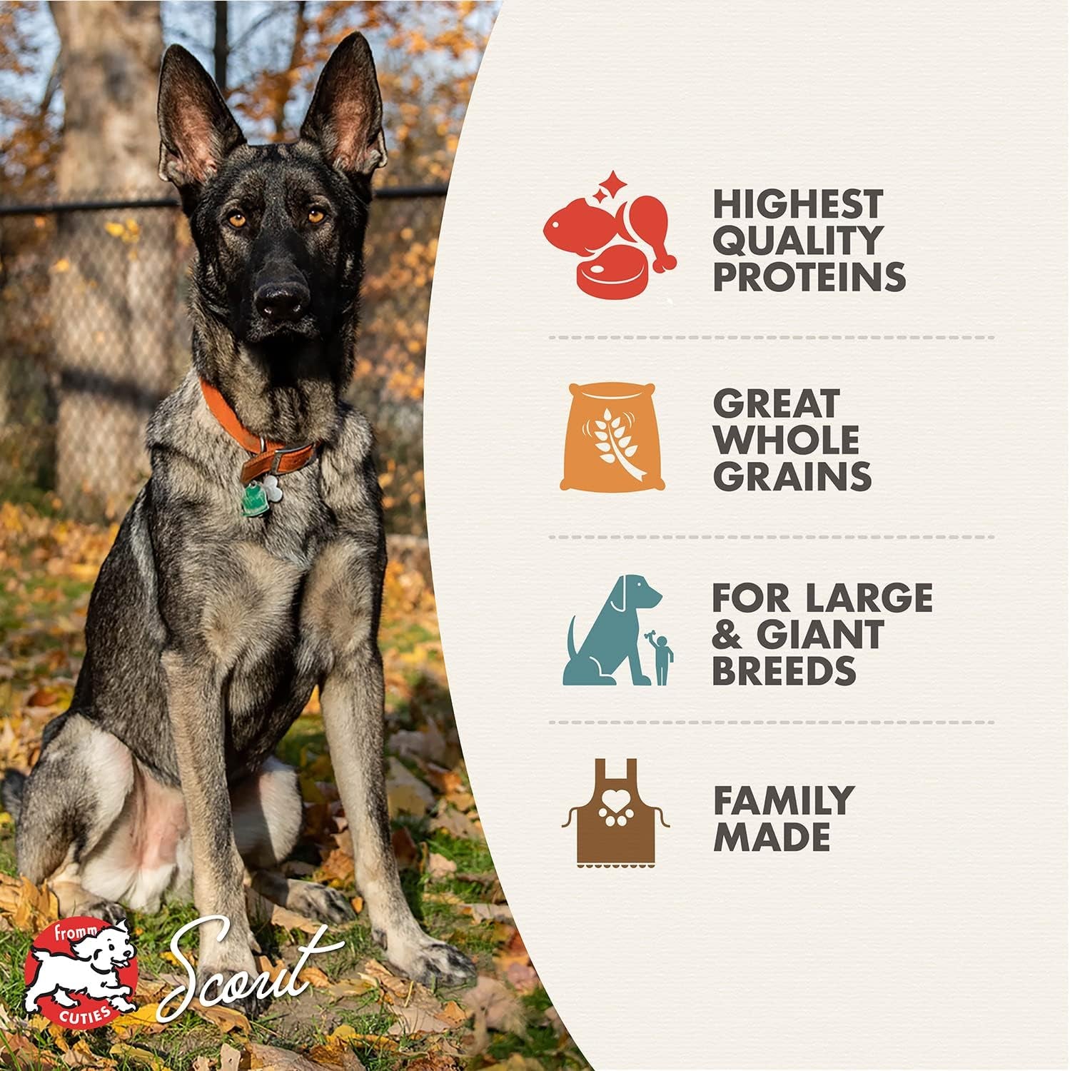 fromm-large-breed-adult-gold-premium-dry-dog-food-dry-adult-dog-food-for-large-breeds-chicken-recipe-30-lb