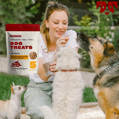OH NORMAN! Soft Beef Jerky Dog Treats, Free-Range Beef, 6 Oz | Air-Dried, Free-Range Beef Jerky with Limited Ingredients, Gentle on Sensitive Stomachs. Great for Training & Daily Rewards6
