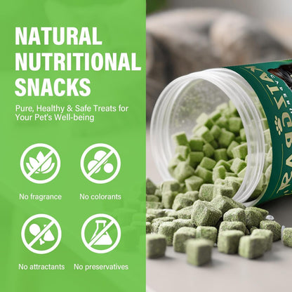 Cat Grass Treats for Indoor Cats, Crunchy Wheatgrass Snacks for Cats, 120G | Ready-To-Eat Wheatgrass Treats,Supports Natural Digestive Health & Hairball Passage,Grain-Free & Crunchy for Dental Care3