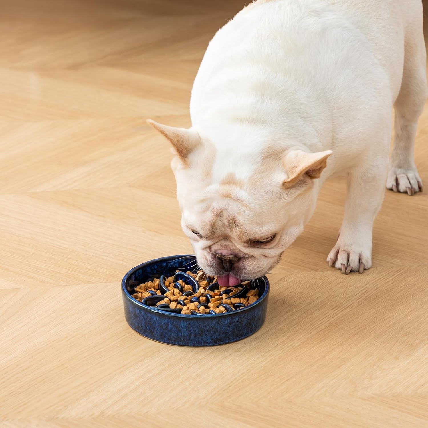 vancasso-ceramic-slow-feeder-dog-bowls-puzzle-dog-food-bowls-with-floral-maze-anti-slip-pet-food-dish-for-small-breed-0-6-cups-blue