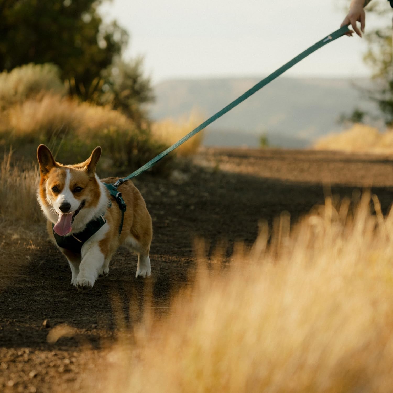 ruffwear-front-range-flex-dog-leash-5-ft-engineered-knit-with-soft-hand-feel-lightweight-strong-leash-with-lockable-clip-traffic-loop-accessory-loop-for-outdoor-walking-deep-teal