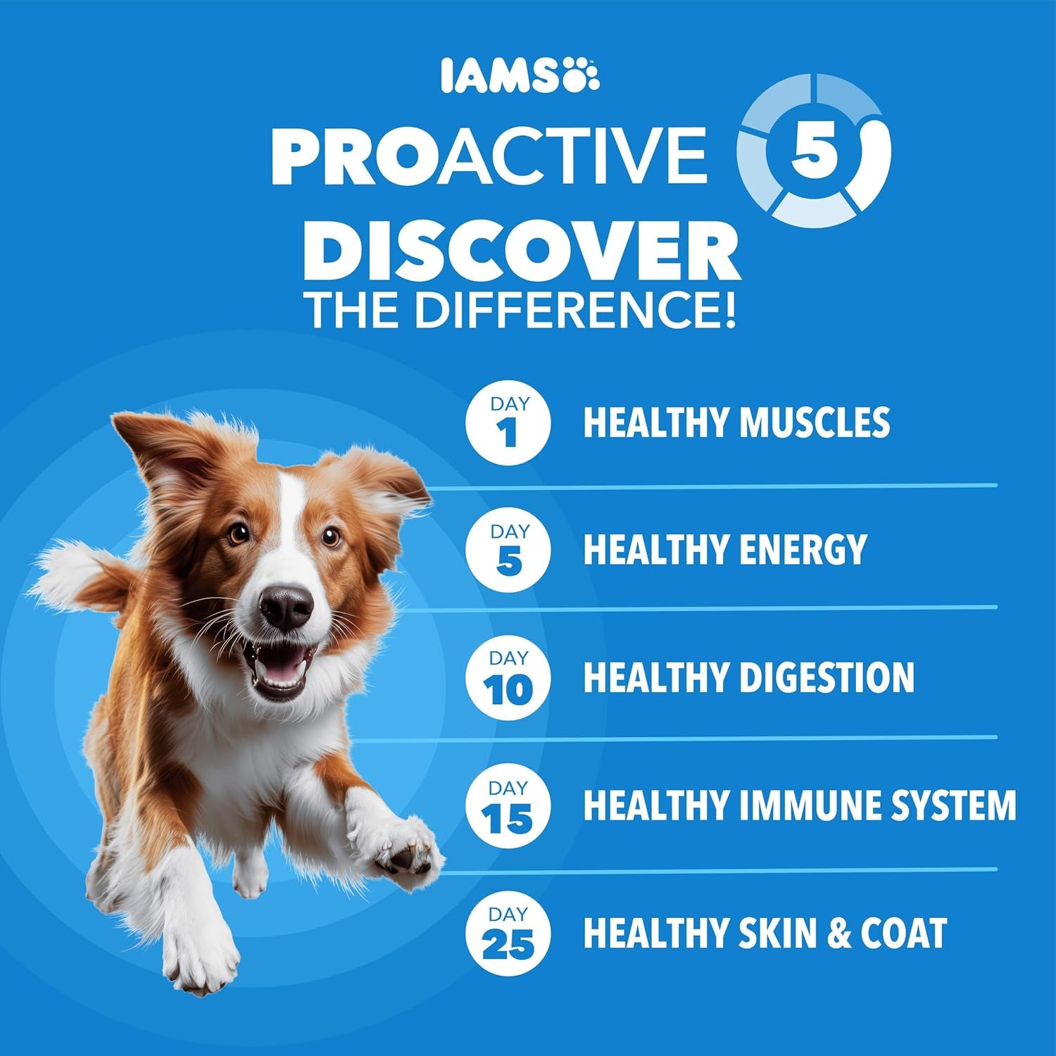 iams-proactive-health-healthy-weight-dry-dog-food-chicken-29-1-lb-real-chicken-1-ingredient-l-carnitine-for-metabolism-strong-muscles-no-fillers-or-artificial-flavors-vet-recommended