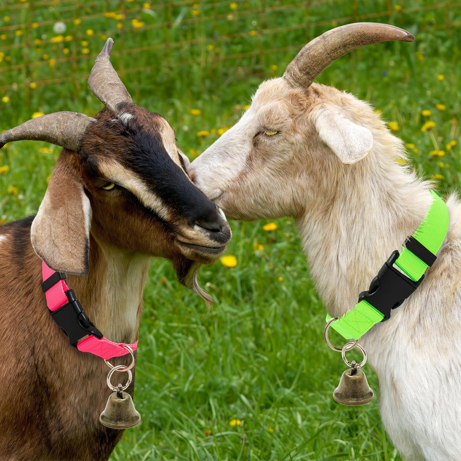 3-pack-goat-collars-with-loud-bells-anti-lost-grazing-pet-collar-adjustable-collar-copper-bells-small-farm-animals-accessories-for-livestock-sheep-calf-13-8-20-9