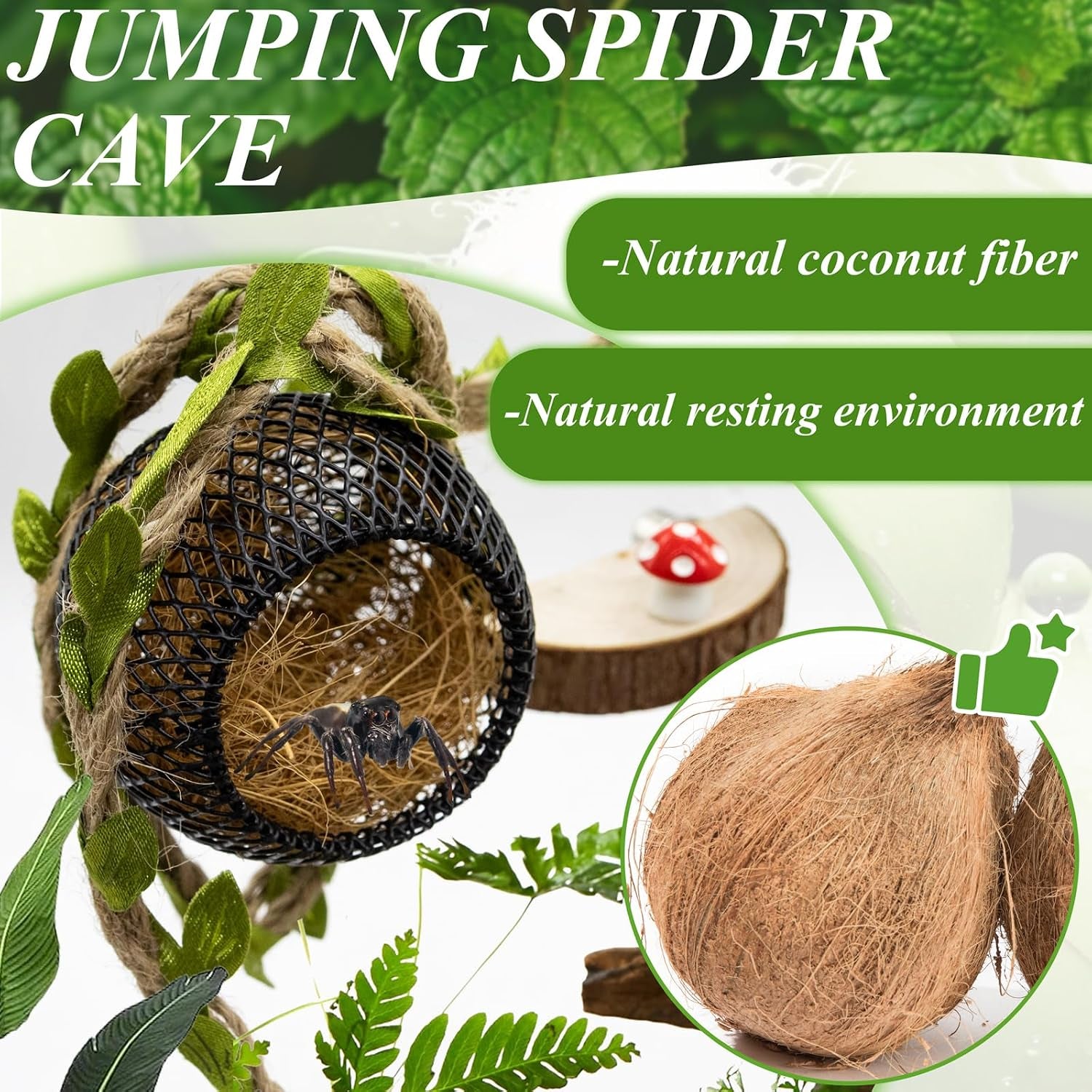 jumping-spider-habitat-accessories-enclosure-habitat-accessories-jumping-spider-web-climbing-and-feeding-platforms-with-magnets-for-small-insects-critters