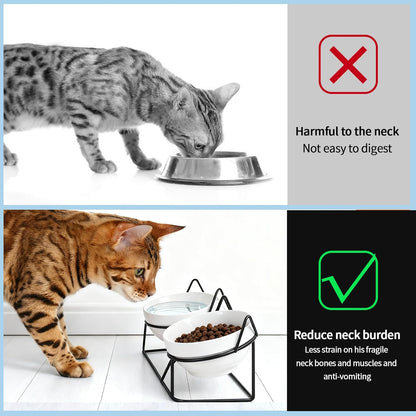Elevated Cat Food Bowl,Ceramic Raised Water Bowl for Indoor Cats, 15°Tilted Metal Stand anti Vomiting and Protect Spines,Whisker Fatigue Feeding Dishes,Non-Slip and Dishwasher Safe4