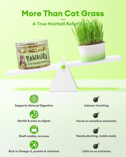 3.53Oz Cat Grass Treats for Hairball Control, Digestive | Natural Chicken & Catnip Biscuits, Low-Calorie Healthy Snacks for Indoor Cats, Dental Care3