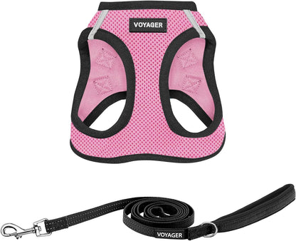 Best Pet Supplies Voyager Step-In Air All Weather Mesh Harness and Reflective Dog 5Ft Leash Combo with Neoprene Handle, for Small, Medium and Large Breed Puppies - Baby Blue, Small33