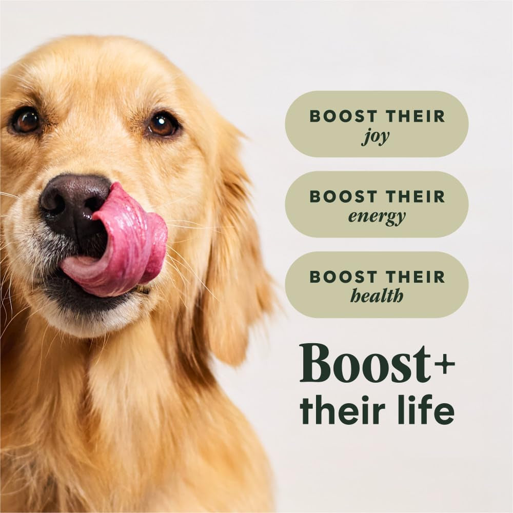 instinct-rawboost-gut-health-dry-dog-food-freeze-dried-chicken-3-5-lb