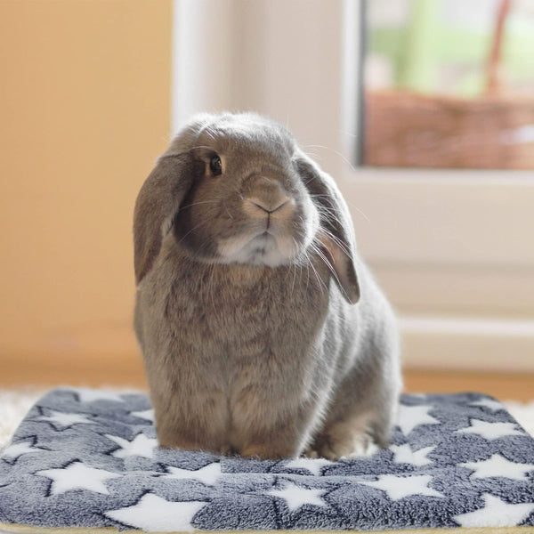 3PCS Rabbit Bed, Soft Bunny Bedding, Fleece Guinea Pig Blanket | Warm Plush Sleeping Mat, Cage Liner for Hamster Ferret Squirrel Hedgehog Rat4