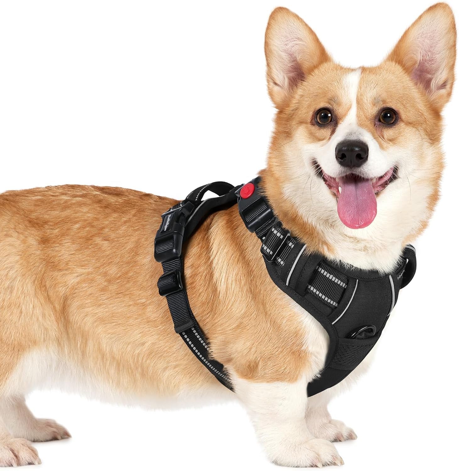 rabbitgoo-dog-harness-medium-sized-updated-easy-on-off-with-3-buckles-no-pull-no-choke-walking-with-2-clips-and-handle-adjustable-soft-reflective-blue-medium