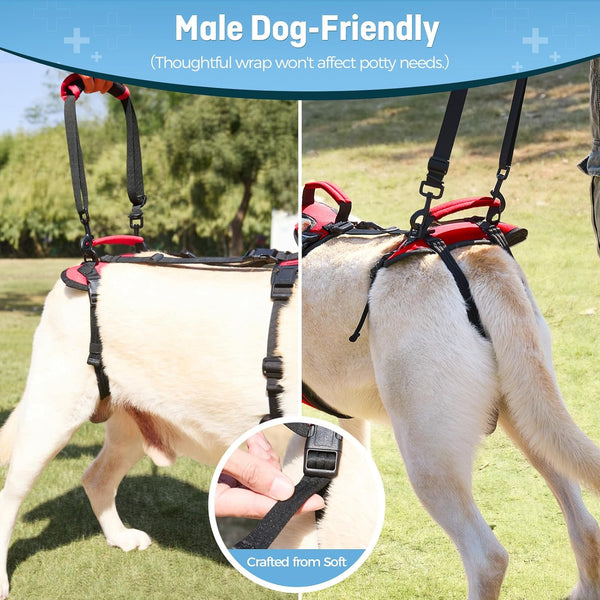 Dog Lifting Harness for Medium Dogs, Dual Handle Dog Support Harness for Daily Walking Assistance, Male Dog-Friendly, Breathable & Easy on Mobility Aid, Red, M3