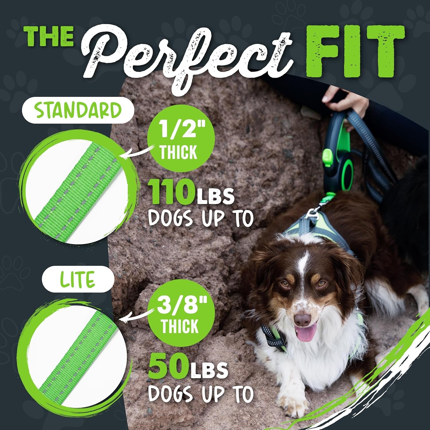 mighty-paw-retractable-dog-leash-2-0-16-ft-for-medium-dogs-heavy-duty-reflective-nylon-tape-tangle-free-swivel-clip-one-touch-quick-lock-brake-reflective-ring-anti-slip-handle