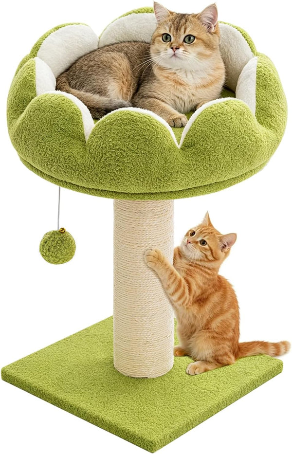Flower Cat Scratching Post for Indoor Cats Scratcher with Bed | Comfortable & Removable Perch, Cute Cat Tree with Dangling Ball, Sisal Scratching Post, Simple Assembly & Stability1