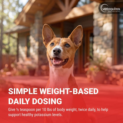 Vetoquinol Renal K - Potassium Supplement for Dogs & Cats - Supports Managing Potassium Levels - Palatable Gel with Maple Flavor - 5Oz5
