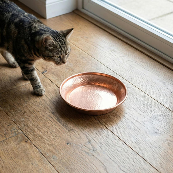 VICASKY Copper Pet Bowl, 5-Inch Luxury Hammered Cat and Dog Food Water Dish Pet Feeding Bowl Decorative for Kittens Puppies5