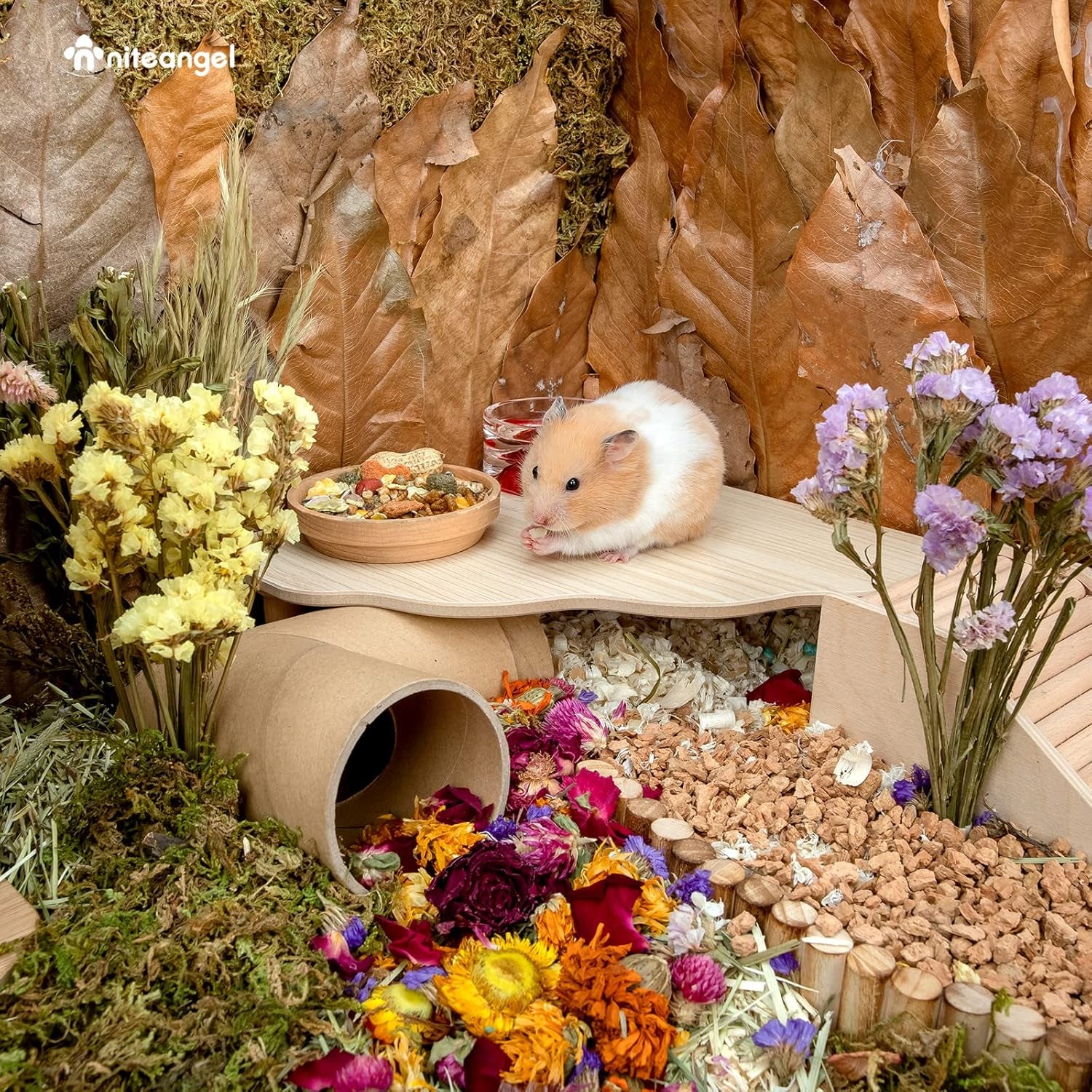 niteangel-hamster-play-wooden-platform-triangle-9-l-x-9-w-6-3-h-can-maximizes-cage-space-enriches-pet-environment-for-dwarf-syrian-hamsters-gerbils-mice-degus-or-other-small-pets