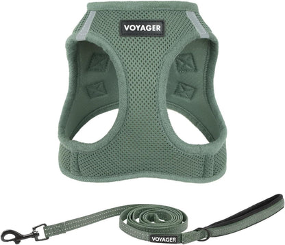 Best Pet Supplies Voyager Step-In Air All Weather Mesh Harness and Reflective Dog 5Ft Leash Combo with Neoprene Handle, for Small, Medium and Large Breed Puppies - Baby Blue, Small28