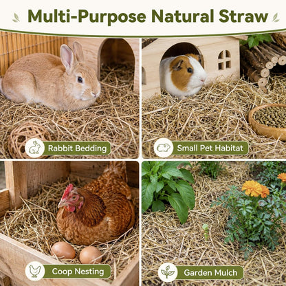 MAQIHAN Natural Straw for Small Animal Bedding - 5.92 Oz Dry Garden Straw | Animal Hay Bedding and Nest Material for Sleeping, Chewing and Toys for Rabbits, Bed Mat6