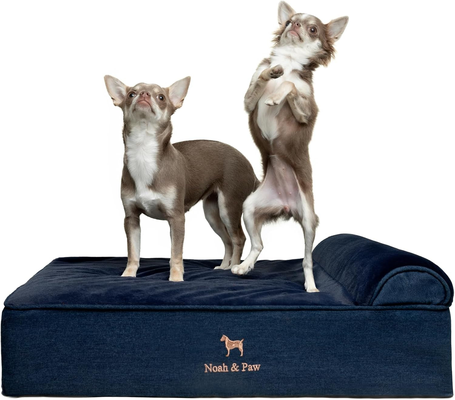 noah-paw-large-dog-bed-35x25x8-7-inch-orthopedic-dog-beds-eggshell-memory-foam-infused-with-cooling-gel-water-resistant-machine-washable-includes-inner-cover-velvet-collection