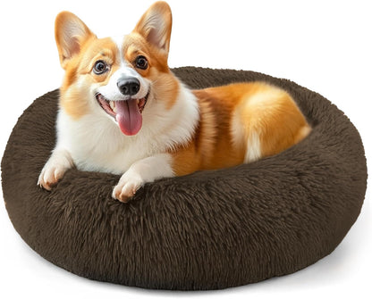 Hoewina Dog & Cat Bed for Indoor Cats, 20In Calming Donut Bed for Puppy and Kitten, Washable round Fluffy Pet Bed for Small Medium Dogs and Cats (Light Grey)31