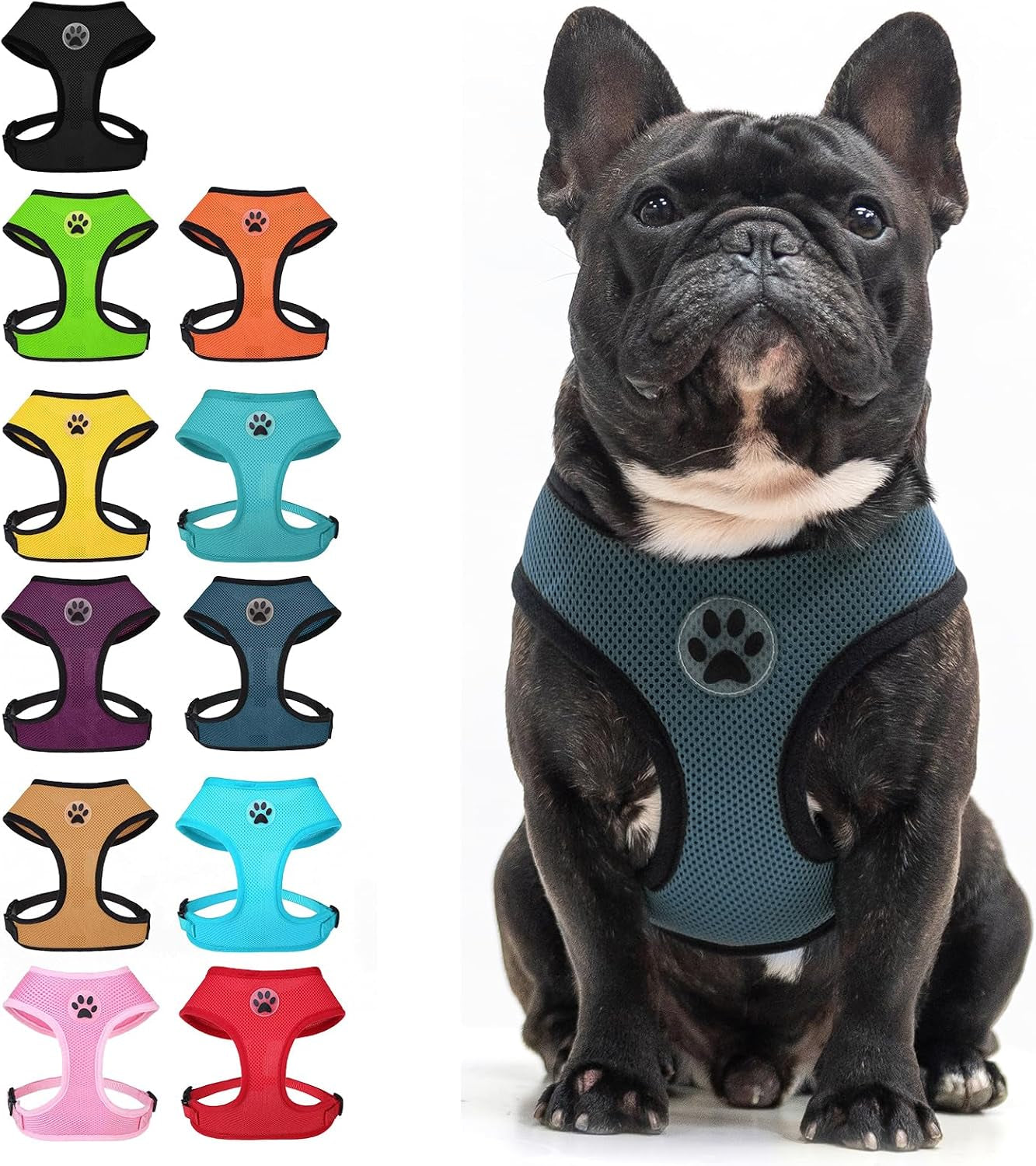bingpet-small-dog-harness-no-pull-dog-harness-small-sized-dogs-soft-light-breathable-mesh-puppy-vest-with-safety-buckle-adjustable-step-in-pet-harnesses-for-easy-walking-running-training