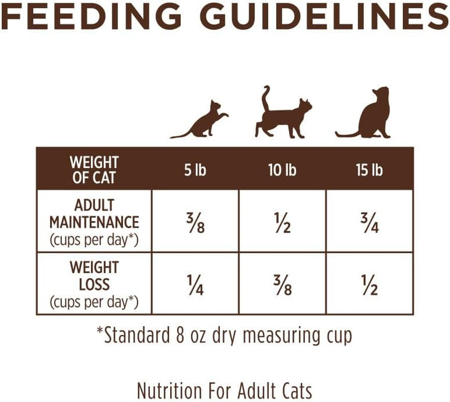 instinct-limited-ingredient-diet-dry-cat-food-real-rabbit-4-5-lb-bag-single-animal-protein-and-vegetable-recipe-raw-coated-kibble-farm-raised-rabbit-gentle-on-sensitive-stomachs