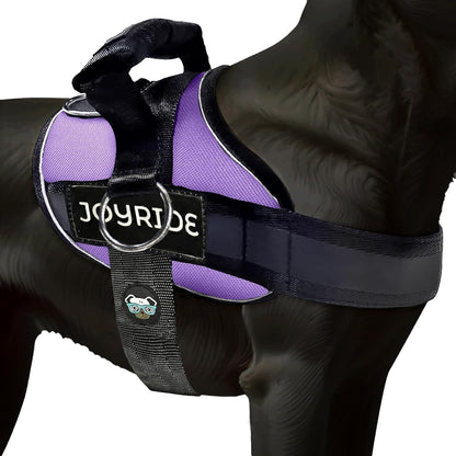 Joyride Dog Harness 2.0 | No-Pull | Blue 2.0 | M | Reflective No-Choke Quick-Fit Vest with 3 Leash Clips and Escape-Resistant Design for Easier Walks and Training19