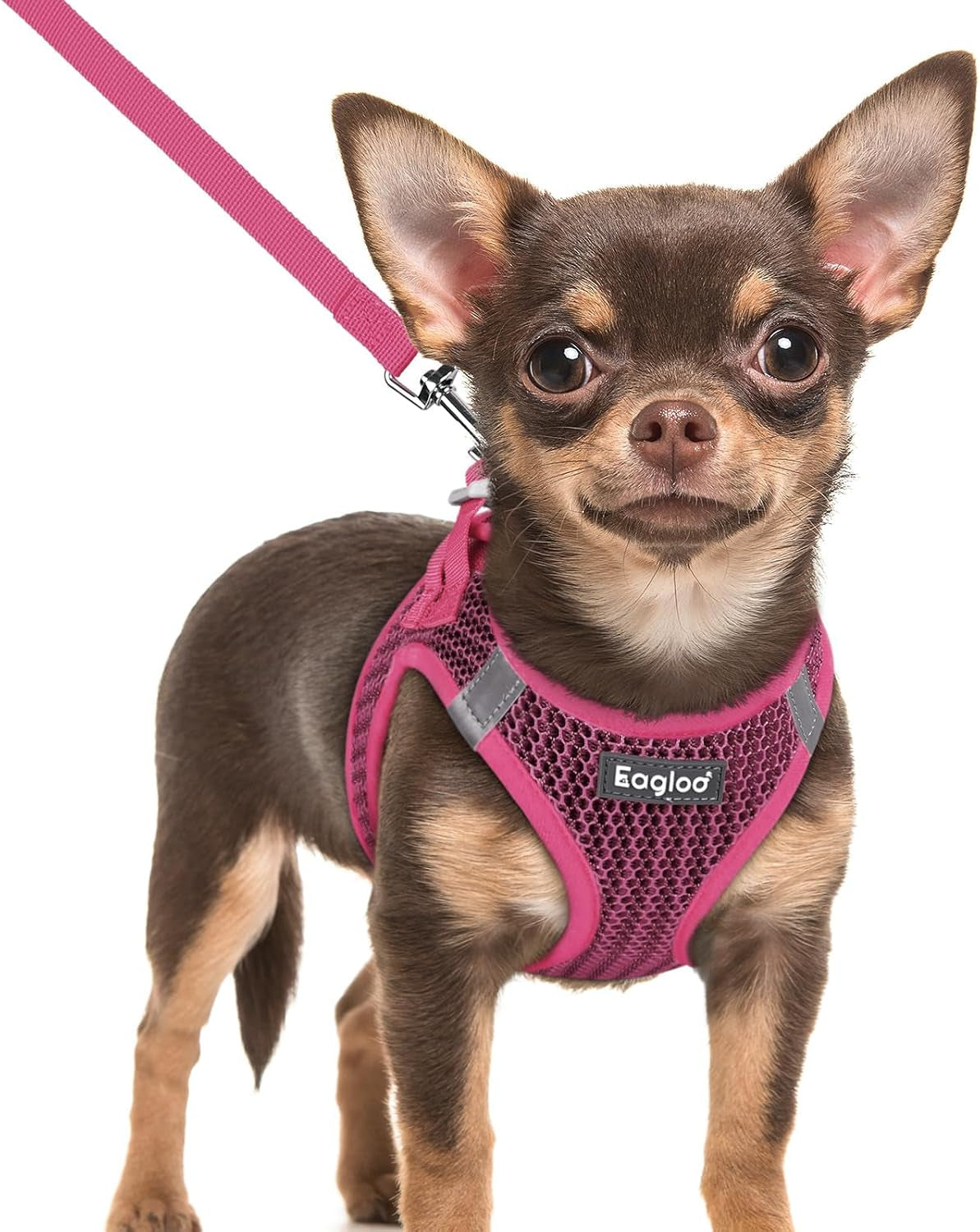 eagloo-small-dog-harness-and-leash-set-step-in-small-sized-puppy-pet-vest-light-soft-breathable-air-mesh-easy-on-and-off-with-hook-loop-reflective-for-safe-walking-pink-s