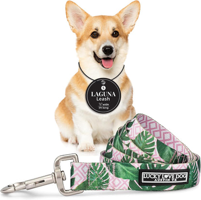 Lucky Love Dog Leash, Beautiful Vivid Patterns, Durable & Long Lasting (Blackbird, Large)27