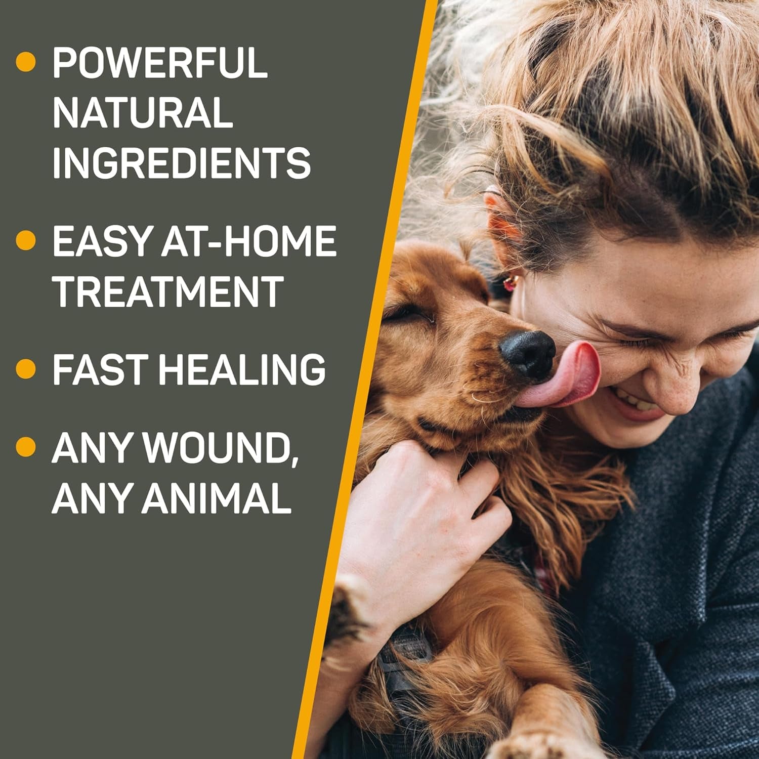 silver-honey-hot-spot-wound-care-pet-first-aid-ointment-2-oz-tube-manuka-honey-microsilver-bg-dog-cat-small-animal-fast-acting-results-at-home-treatment-thick-creamy-antibiotic-free
