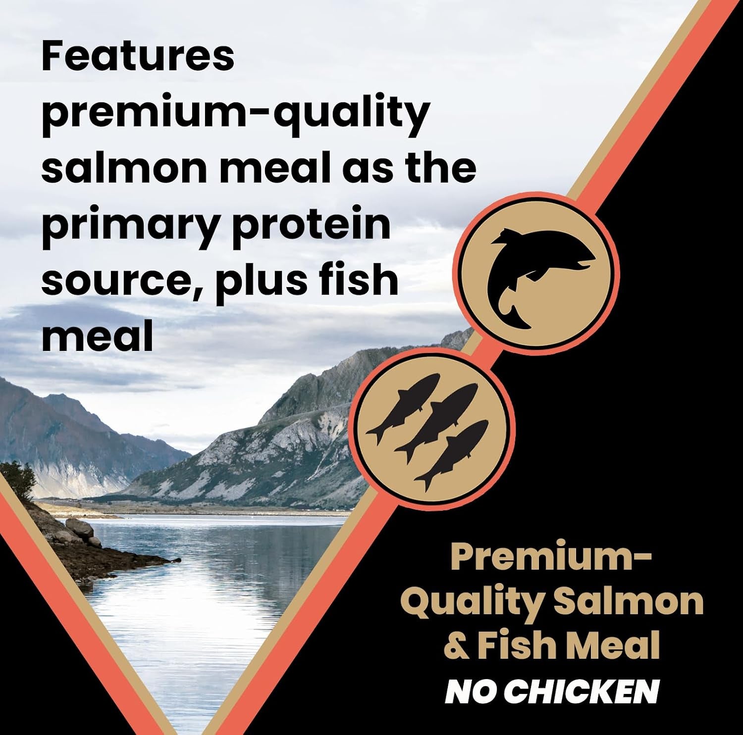 victor-super-premium-dog-food-sensitive-skin-and-stomach-salmon-meal-brown-rice-recipe-dry-kibble-gluten-free-no-chicken-ideal-for-dogs-with-allergies-adult-and-puppy-food-5-lb