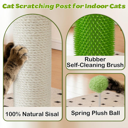 Cat Scratching Post, 26" Tall Scratch Post with Hanging Toy for Indoor Cats | Sisal Cat Scratcher Post with Grooming Brush, Double-Layer Interactive Wooden Ball Track, for Small Cats and Kittens Play6