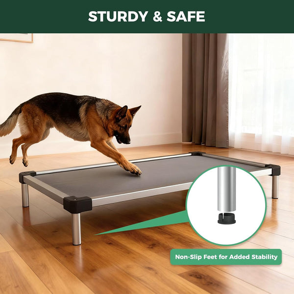 FXW Titannest Padded Chew-Proof Elevated Dog Bed for Large Dogs | Easy to Clean, Pre-Assembly Raised Cot, Indoor/Outdoor/Camping, 47 X 29 X 7.3In7