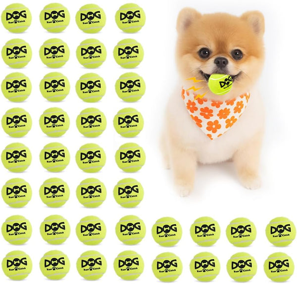 INSUM Small Tennis Balls for Dogs - 2 Inch 20 Pack Squeaky Dog Balls | Built in Squeaker, Durable, SGS Non-Toxic Test, Mini Tennis Balls for Small Breeds, with Mesh Bag12