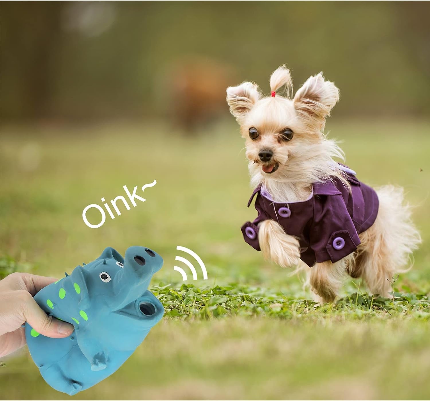 andiker-dog-squeaky-toy-dots-latex-dog-chew-toys-with-a-oinks-sound-squeaker-grunting-pig-dog-toy-durable-self-play-8-dogs-squeeze-toy-for-dental-biting-chasing-to-kill-boring-time-blue