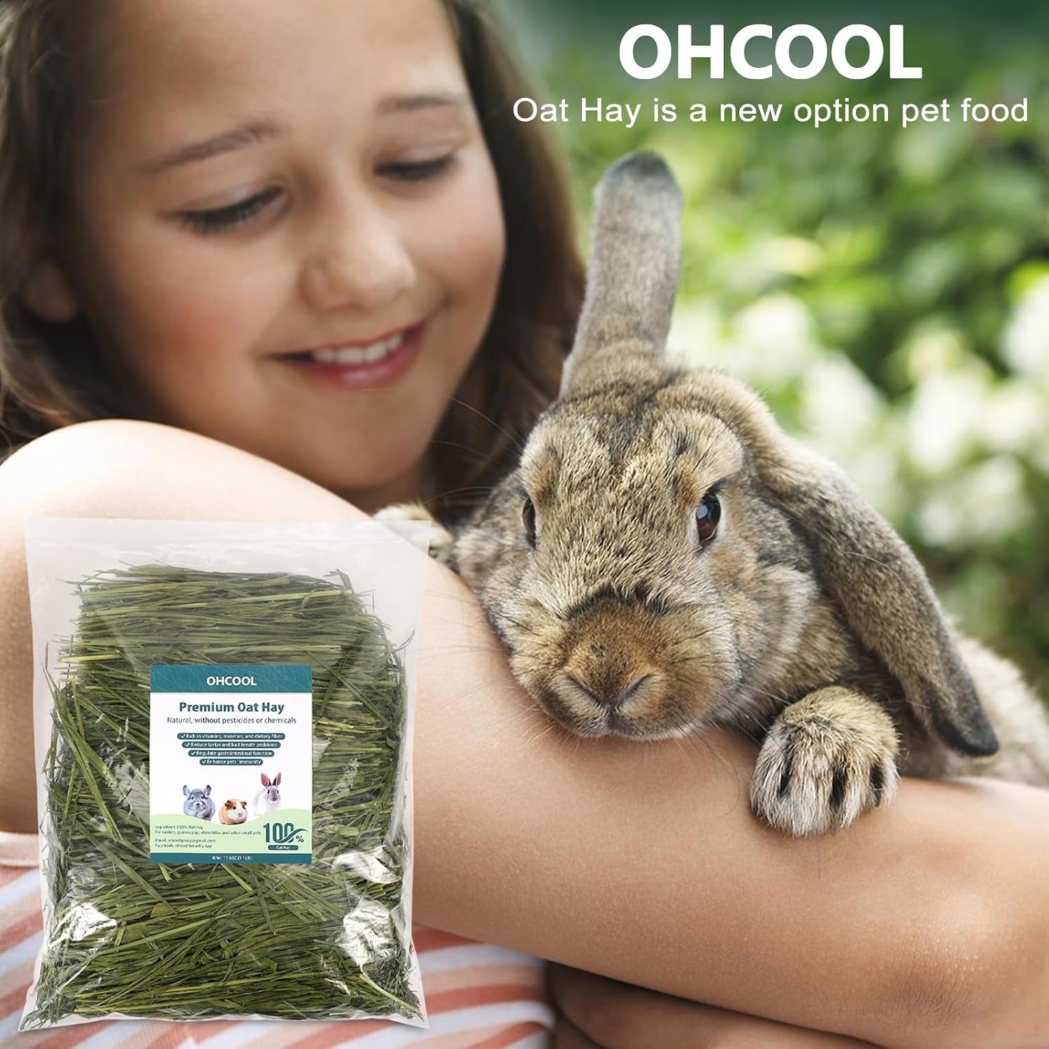 premium-oat-hay-1-1lb-small-pet-feed-premium-dust-free-natural-green-oat-hay-suitable-for-rabbits-guinea-pigs-chinchillas-hamsters-gerbils