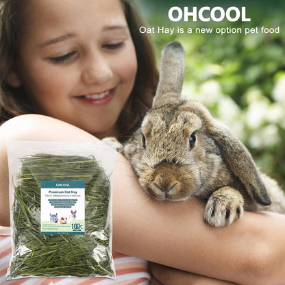 Premium Oat Hay, 1.1LB Small Pet Feed | Premium Dust Free Natural Green Oat Hay, Suitable for Rabbits, Guinea Pigs, Chinchillas, Hamsters, Gerbils4