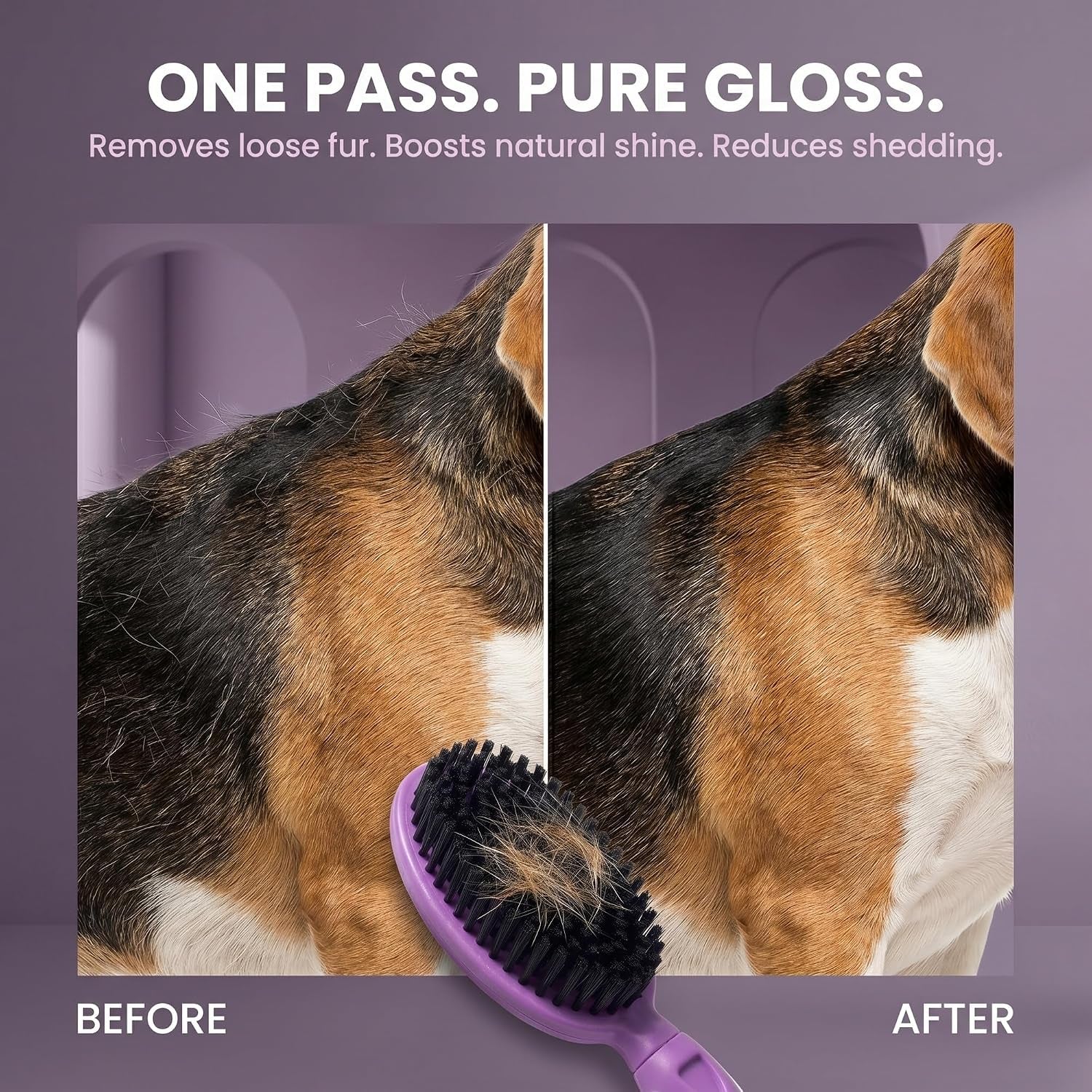soft-bristle-dog-brush-for-short-haired-cats-or-dogs-firm-bristles-to-remove-dust-dirt-and-loose-fur-hook-and-rubber-handle