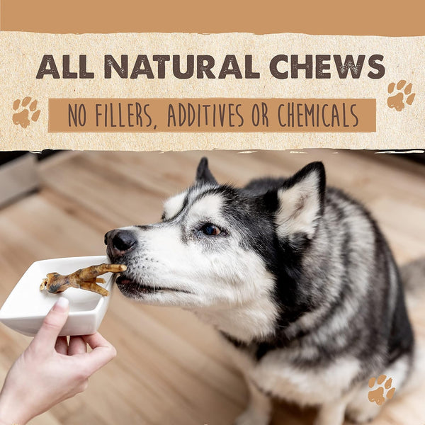 Mighty Paw Naturals Chicken Feet Dog Treats, Single Ingredient, 30 Pack | High Protein, Glucosamine & Chondroitin, Supports Joint Health, for Puppies, Slow-Dried, Grain-Free, Low Odor3