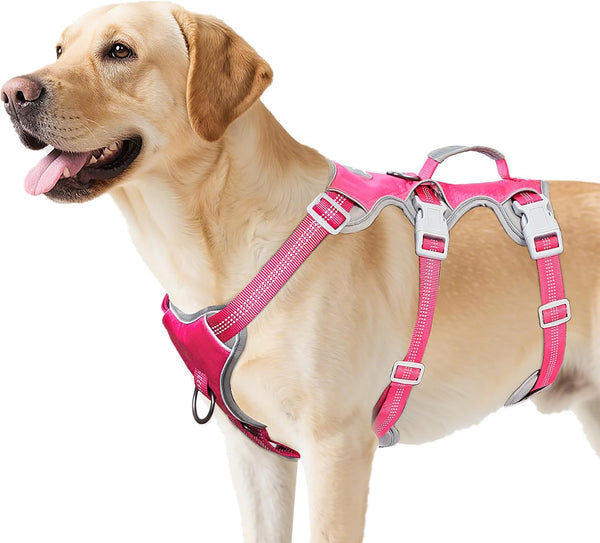 Huntboo Escape Proof Dog Harness, Escape Artist Harness, Reflective Harness with Padded Handle, Breathable, Durable, Adjustable Vest for Medium Dogs Walking, Training, and Running Gear (Blue, M)23