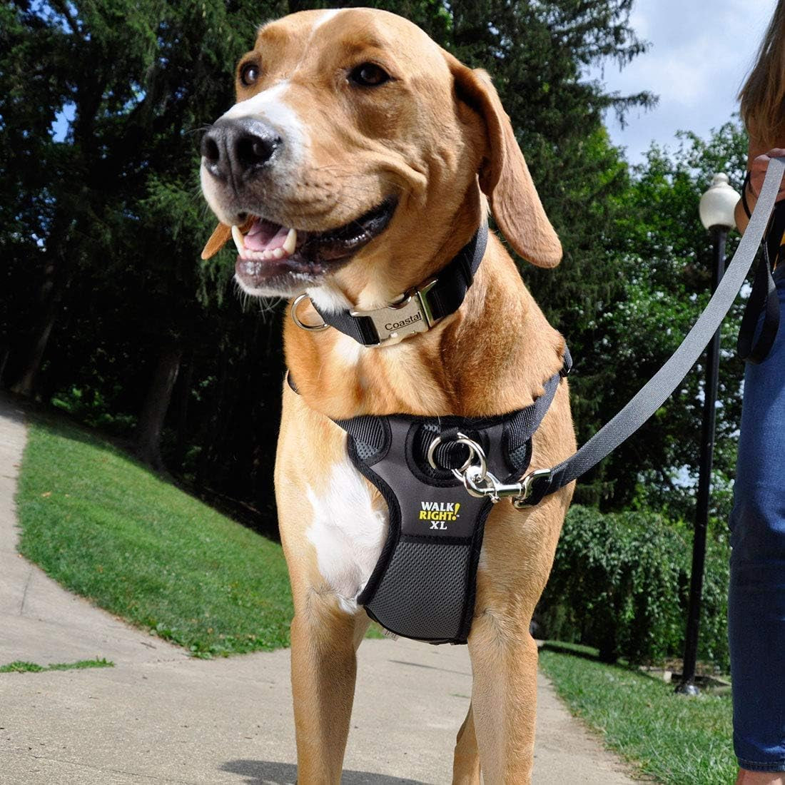 coastal-pet-walk-right-front-connect-no-pull-padded-dog-harness-adjustable-comfortable-dog-harness-small-large-breed-fit-quality-pet-supplies-black-lrg-26-38