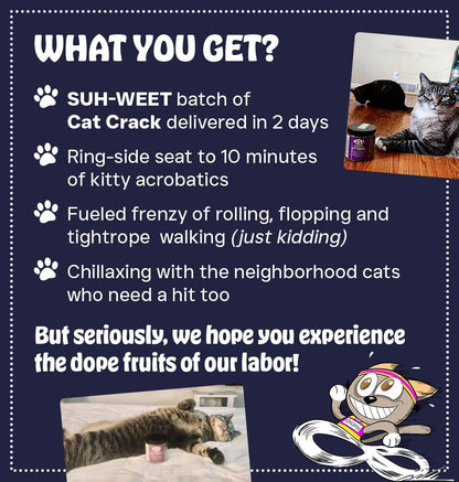 Cat Crack Catnip, Zoomie-Inducing Cat Nip, 100% Natural North American Made | 100% Natural, Safe & Non-Addictive Catnip Treats Used to Supplement Cat Nip Toys, Spray, & Accessories (1 Cup)5