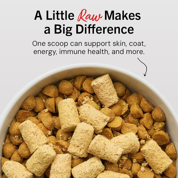 Stella & Chewy'S Freeze Dried Raw Meal Mixers – Crafted for Puppies – Grain Free, Protein Rich Perfectly Puppy Beef & Salmon Recipe – 3.5 Oz Bag2