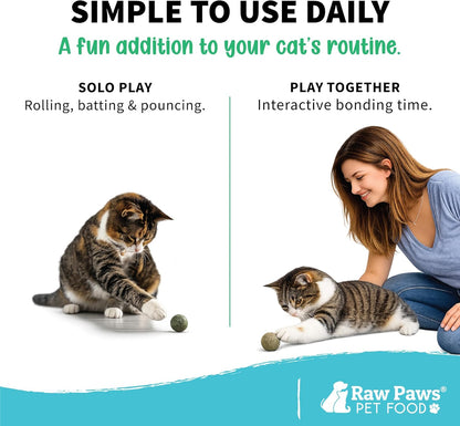 Raw Paws Catnip Balls for Cats (6-Count) - Interactive Indoor Cat Toy | Natural Compressed Natural Catnip - Cat Lick Balls - Catnip Roller Balls - Play & Enrichment Toy - Fresh Dried - No Additives6