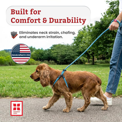 Harness Lead Escape Resistant, Reduces Pull Dog Harness, Medium/Large, Black4