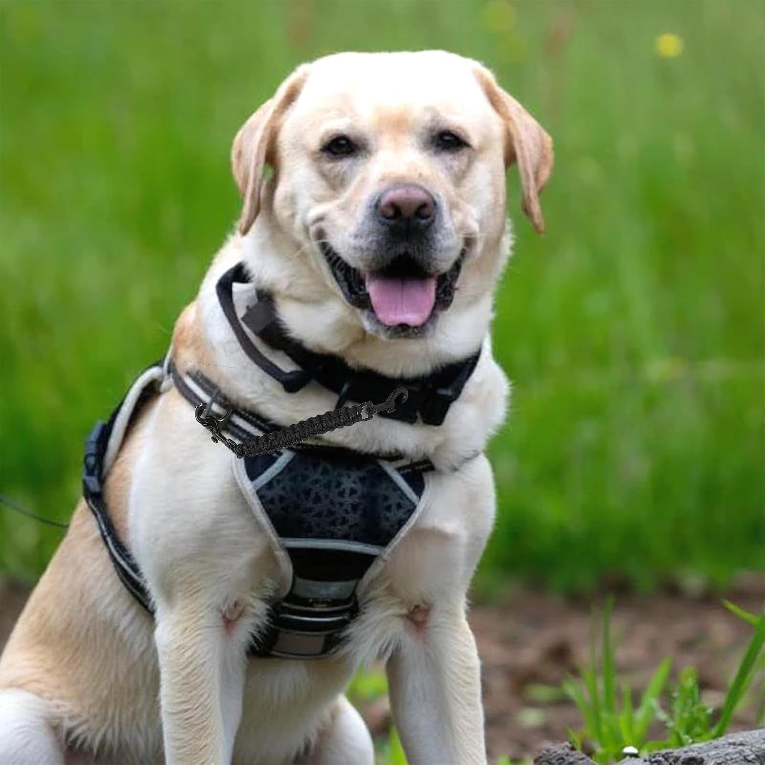 yuanchu-safety-clip-for-dog-collar-double-ended-dog-collar-safety-clip-backup-safety-strap-with-dual-clasps-leash-connector-for-prong-collar-harness-vests-walking-running-training