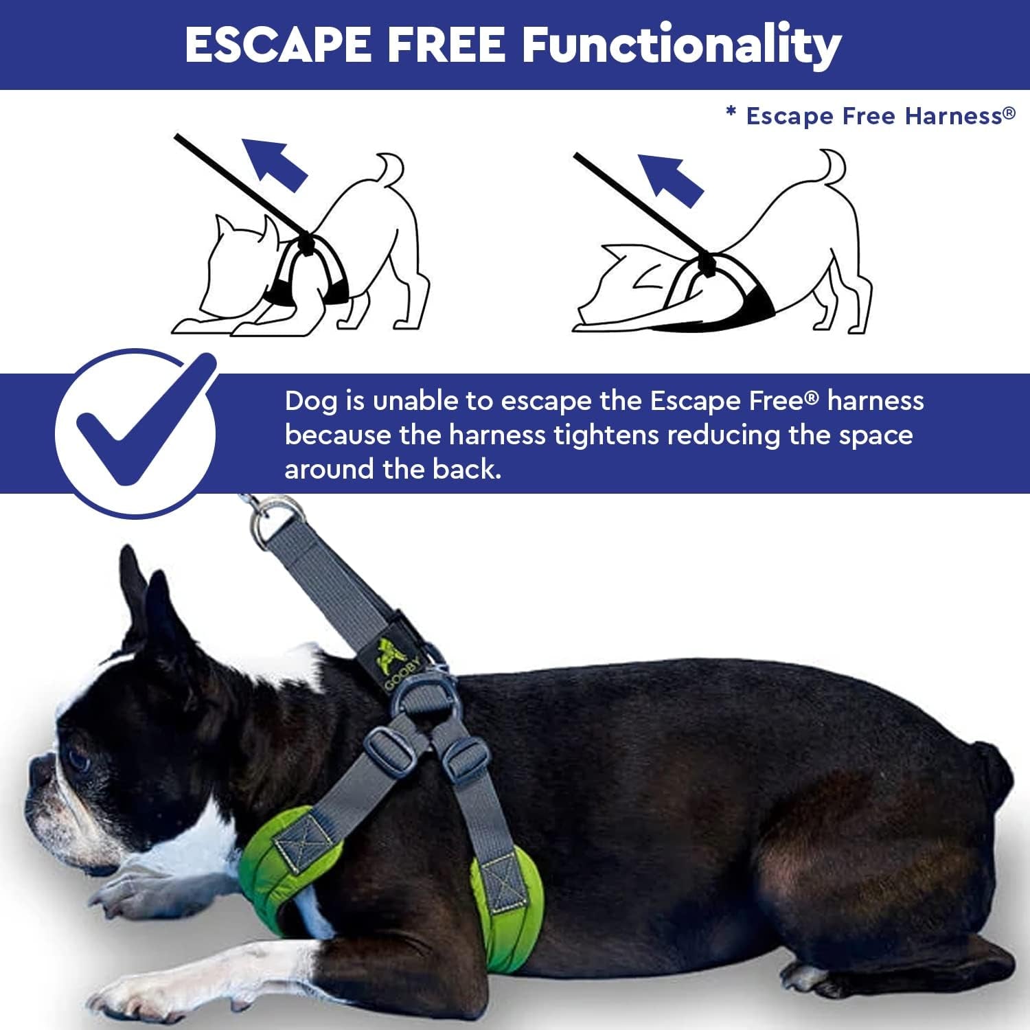 gooby-escape-free-memory-foam-harness-green-large-no-pull-step-in-small-dog-harness-with-four-point-adjustment-perfect-on-the-go-dog-harness-for-medium-dogs-no-pull-and-small-dogs