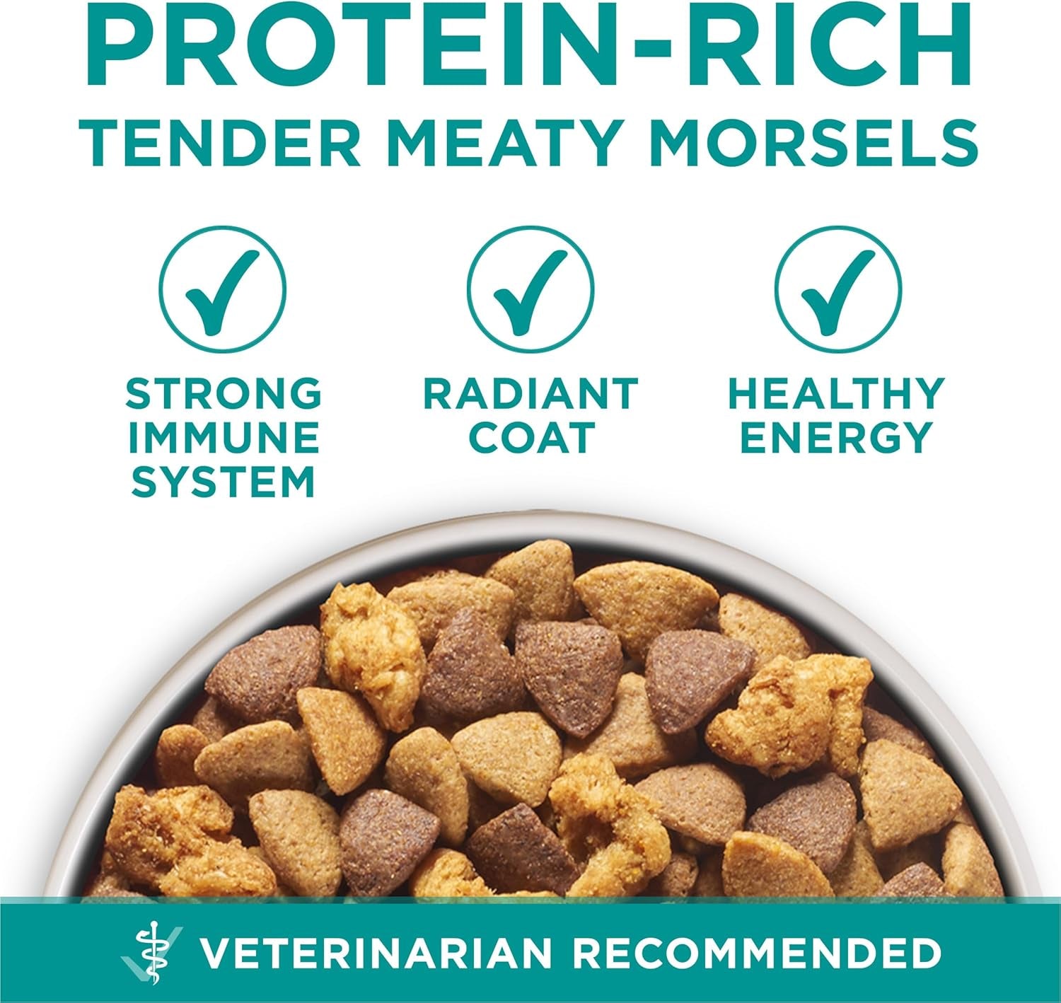 purina-one-plus-digestive-health-formula-dry-dog-food-natural-with-added-vitamins-minerals-and-nutrients-31-1-lb-bag
