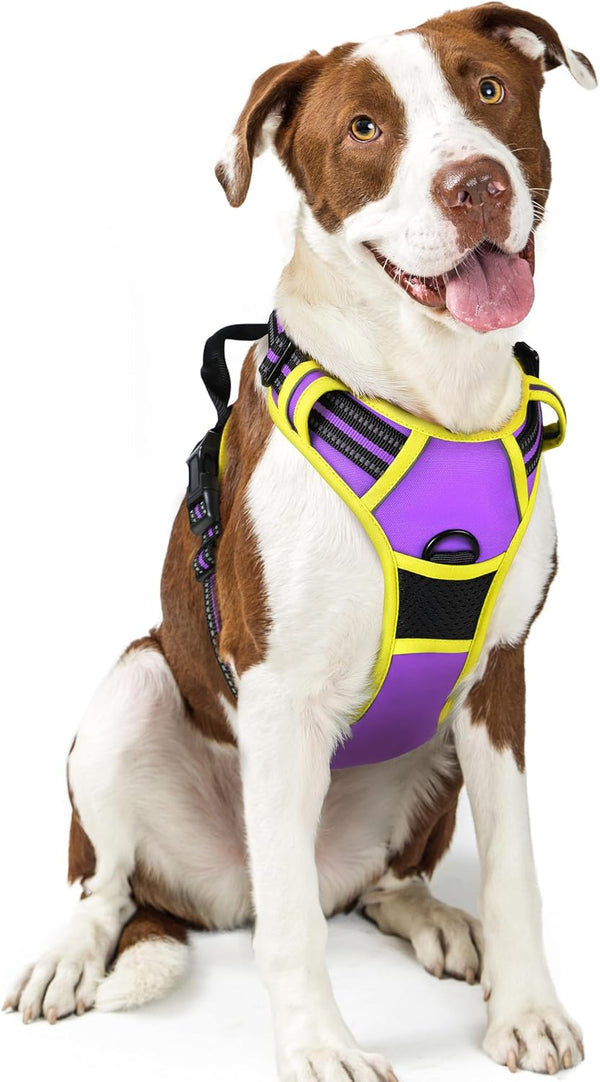 Rabbitgoo Dog Harness, No Pull for Large Dogs with 2 Leash Clips, Pet Vest | No Choke with Handle, Adjustable Soft Padded, Reflective, Easy Control for Walking, Black, Large66