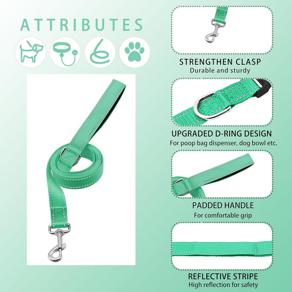 Reflective Dog Collar with Safety Locking Buckle, Adjustable Soft Breathable Nylon Collars for Small, Medium and Large Dogs(Collar+Leash XS Width 5/8" Turquoise) | Adjustable Soft Breathable Nylon Collars for Small, Medium and Large Dogs (XS Width 5/8" Turquoise)3